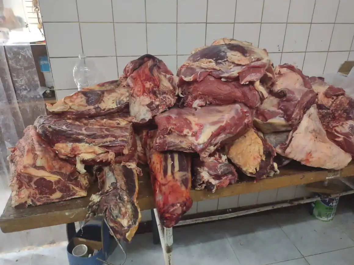 Decomisaron más de 200 kilos de carne en mal estado en tres comercios de la ciudad