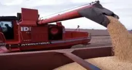 A pesar de la elevada humedad del suelo continúa la cosecha de soja