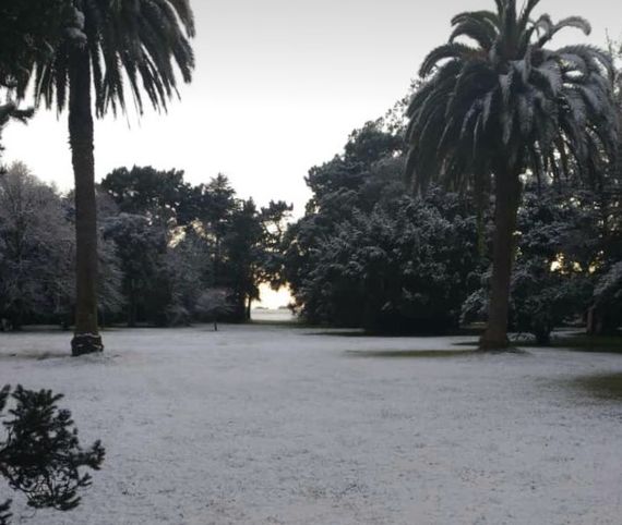 Hace 3 años: Así fue la nevada en Tandil y la zona