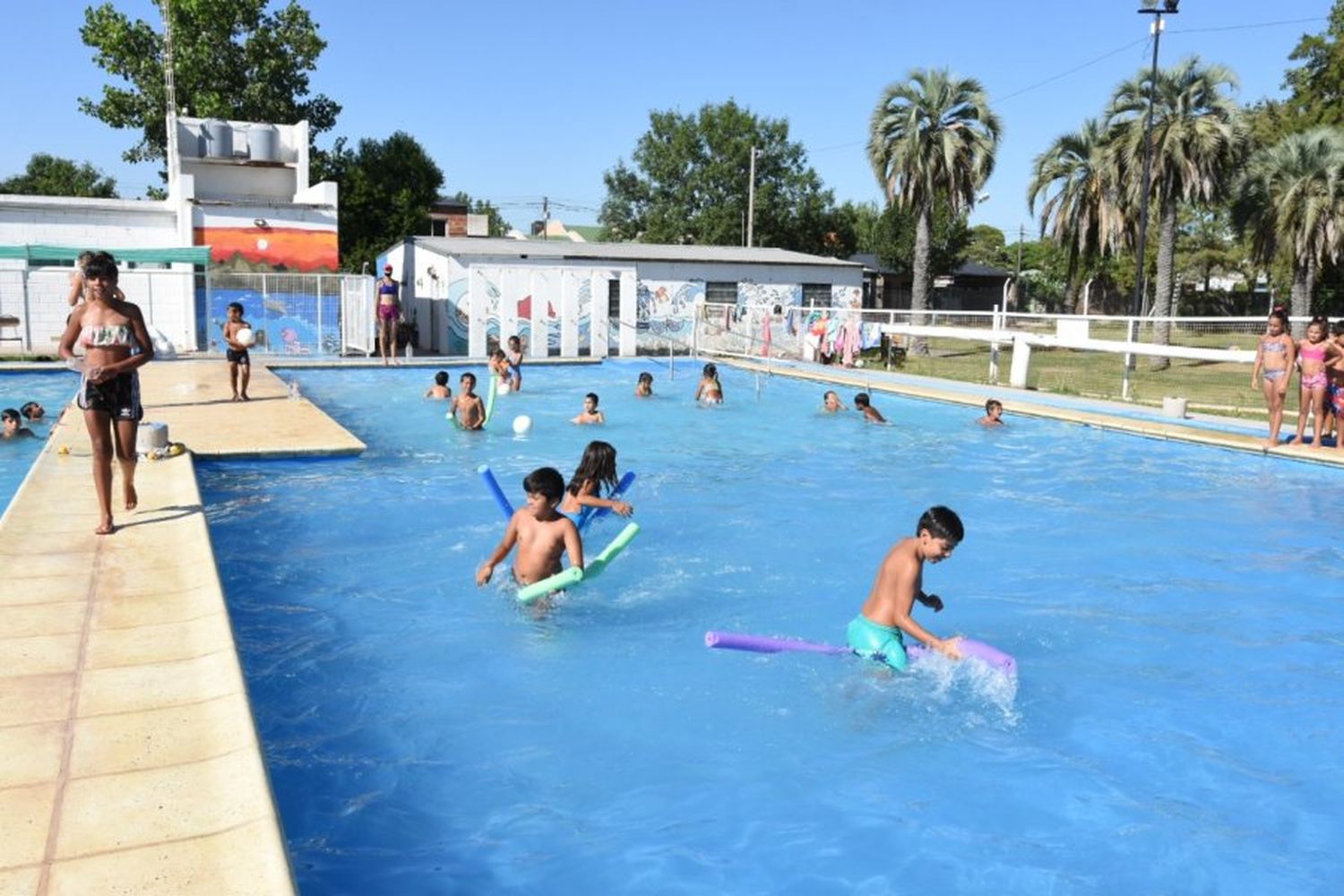 Verano: Comienza la colonia