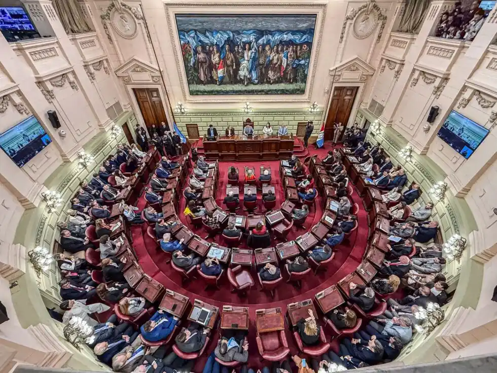 Juró Verónica Colombo como convencional constituyente en reemplazo de Locomotora Oliveras