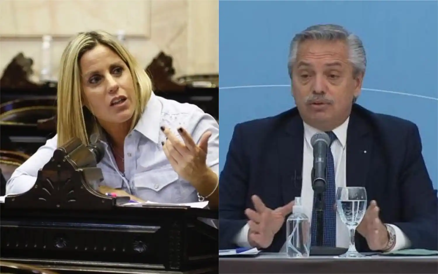 Leña del árbol caído: Natalia Villa defenestró a Alberto Fernández por su "contradicción" en la ley de hidrocarburos
