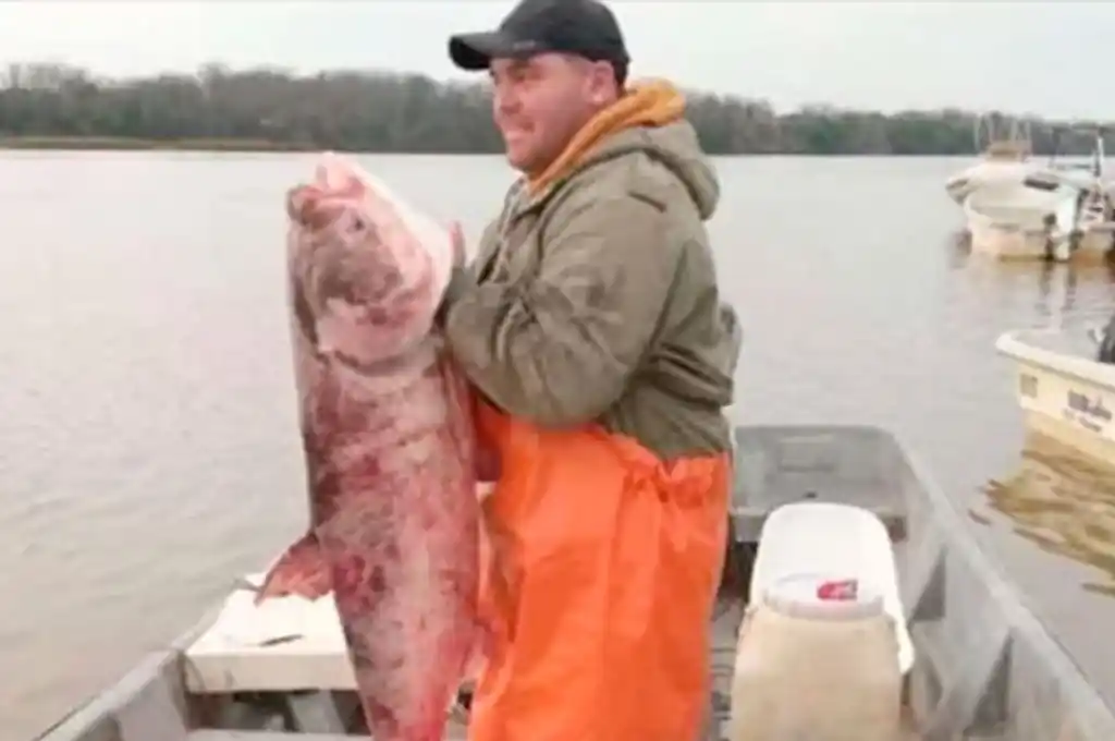 La inusual captura pesó 22 kilos.