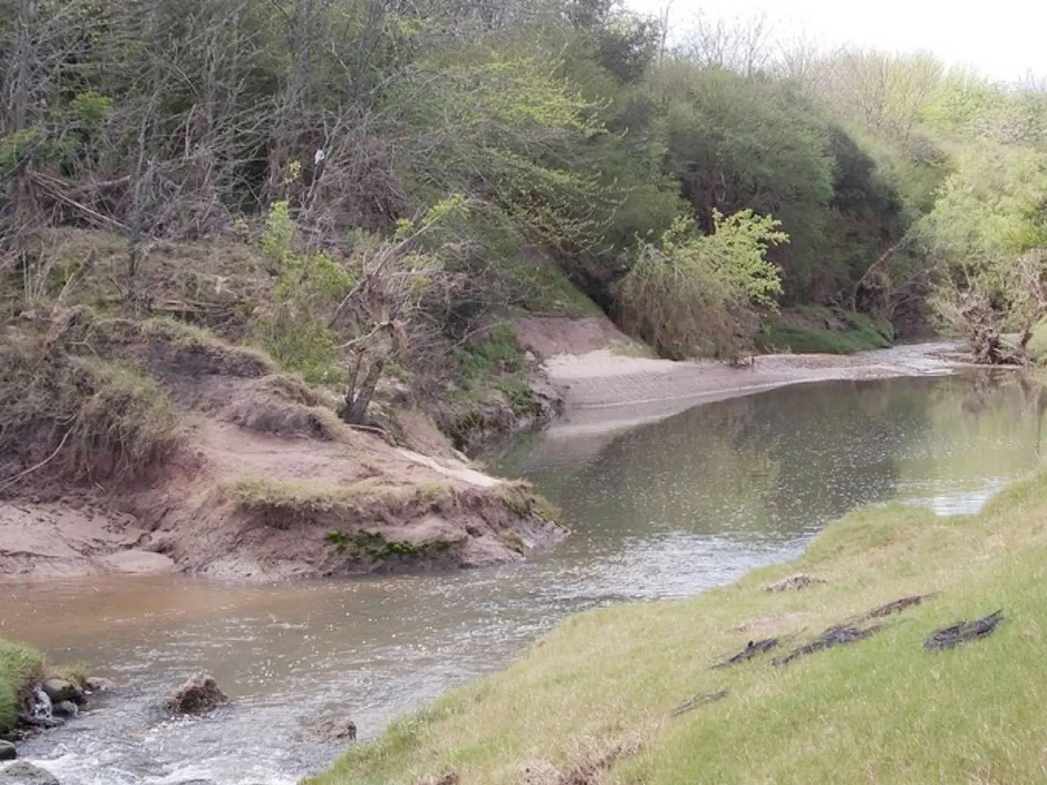 En Galarza se realizará una jornada sobre Patrimonio Natural Entrerriano  enfocada al Turismo de Naturaleza