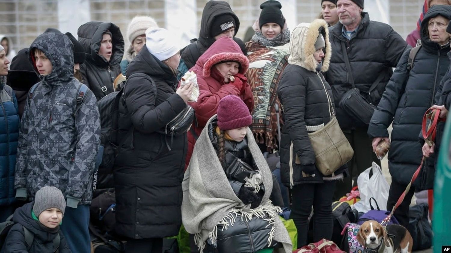 Diversos medios suspenden sus servicios en Rusia
