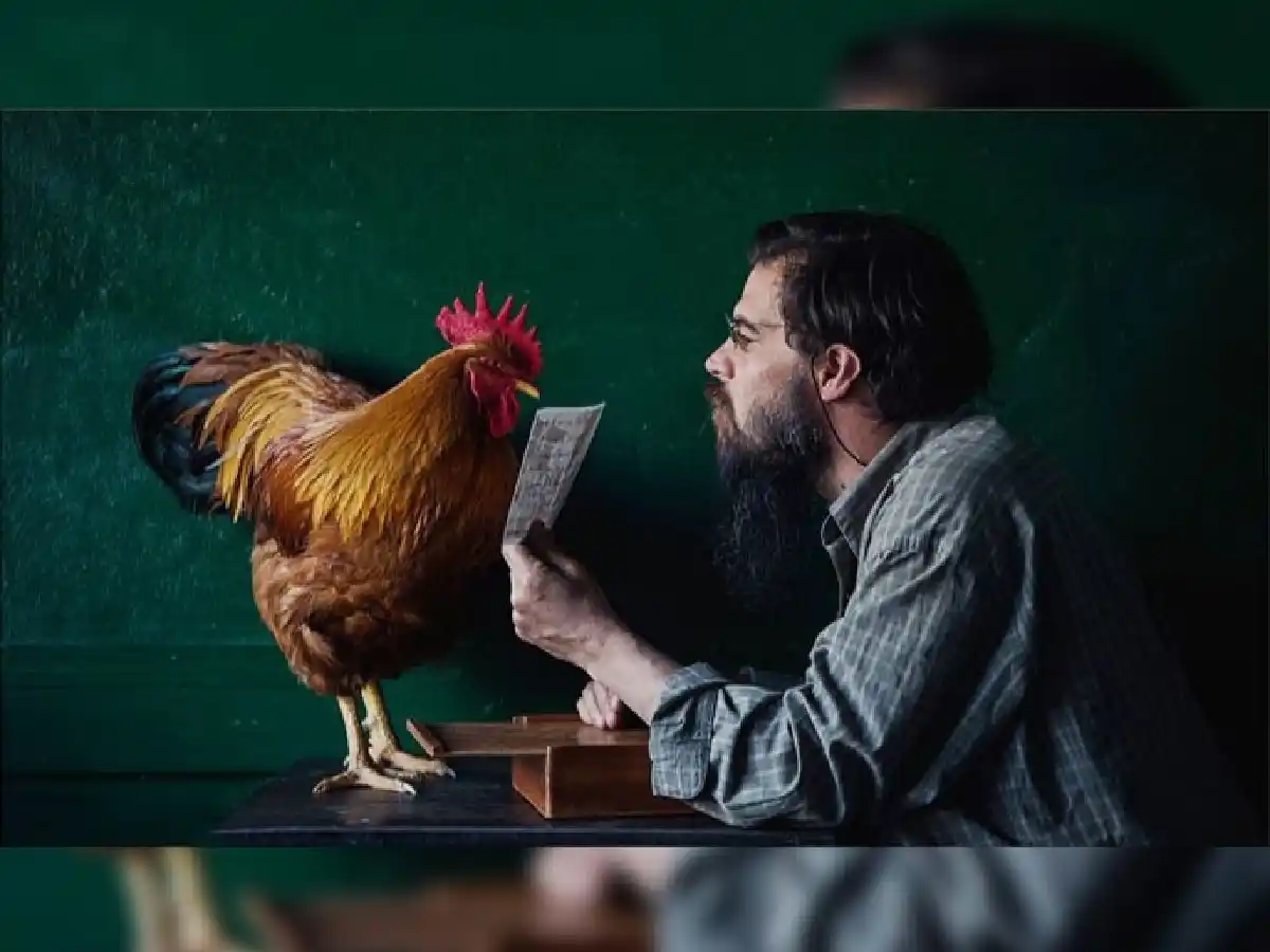 Gallos Rojos: la serie que recopila hitos  populares casi olvidados  de nuestra provincia 
