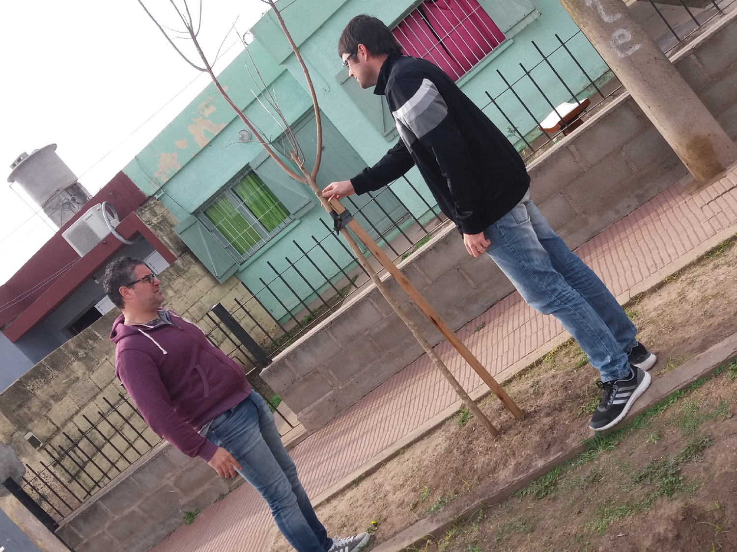 Inició la reforestación urbana en Freyre 