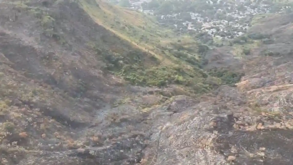 LLAMAS DEVORARON UNAS 250 HECTÁREAS del parque Henri Pittier