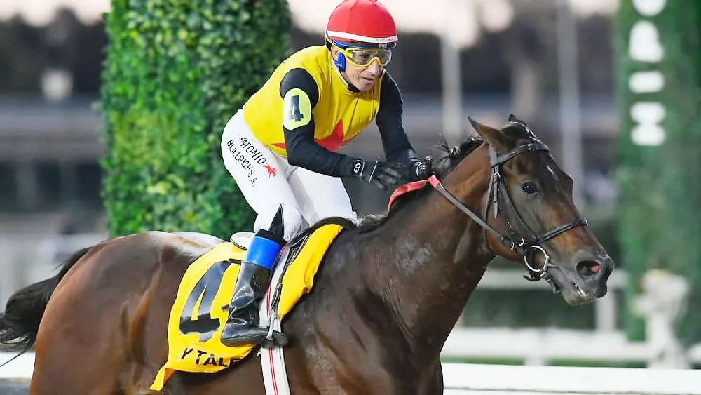 Crazy Talent, figura del Clásico Chacabuco (G2), quiere retomar la senda del triunfo.