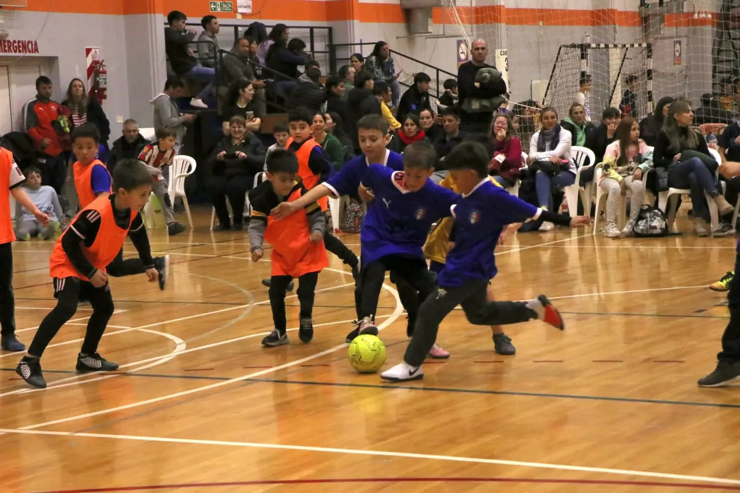 Variadas actividades deportivas