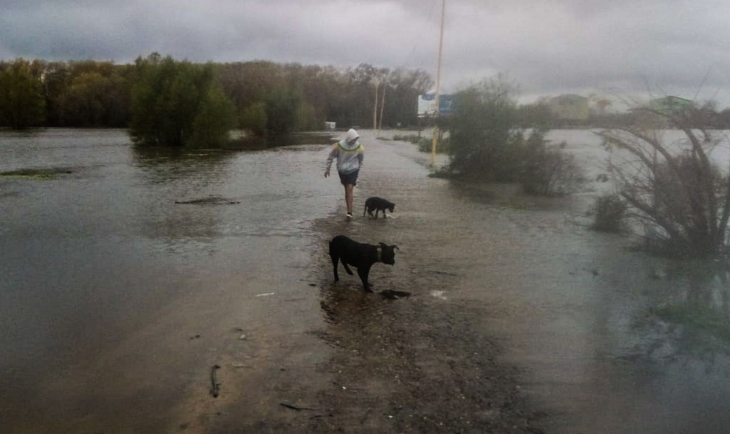 El río superó los 3,80 metros y esperan que la situación empiece a normalizarse