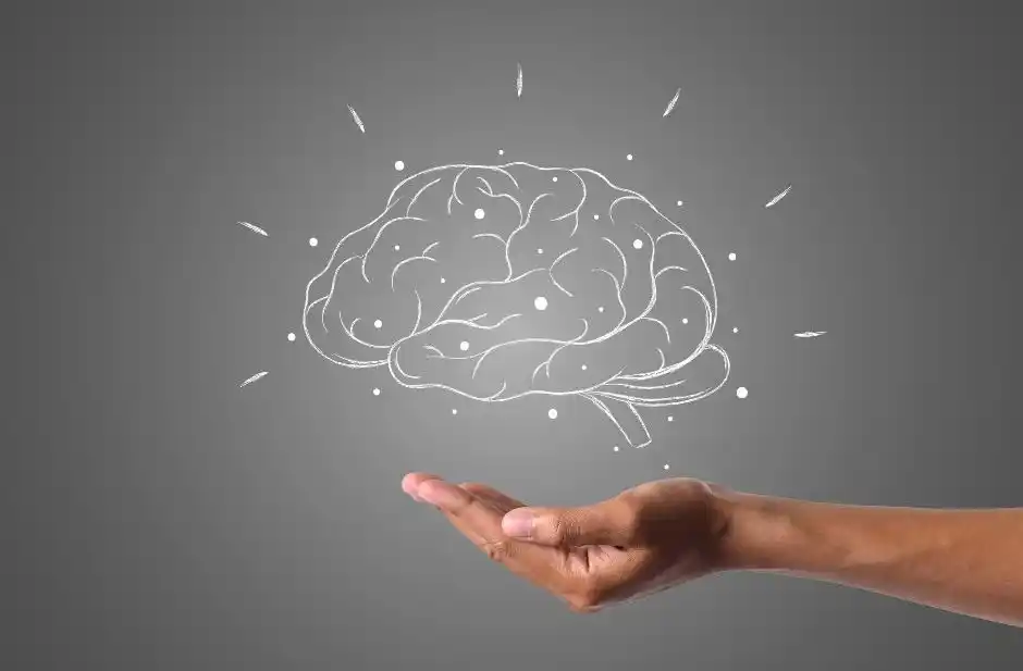Neurociencia en la vida cotidiana: cómo entrenar el cerebro para vivir mejor