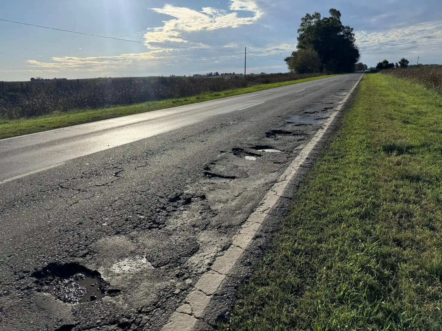 Foto: Municipalidad General Viamonte