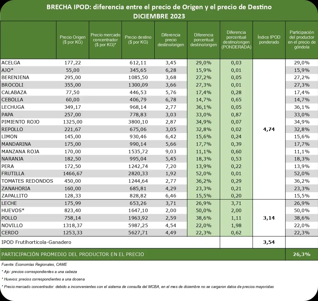 Came informe - 3
