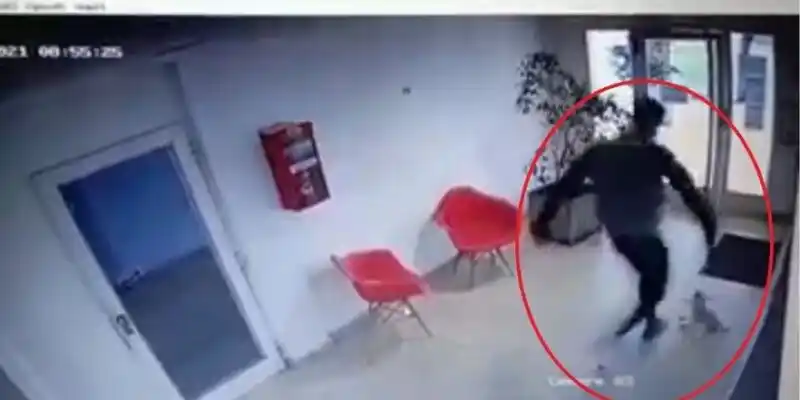 La Plata: El exárbitro que golpeó brutalmente a la perrita Mia será indagado el 9 de junio