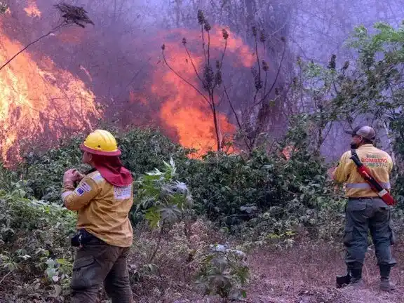No ceden los incendios forestales en Santa Cruz de la Sierra.