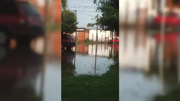 French y Almafuerte: la laguna del barrio