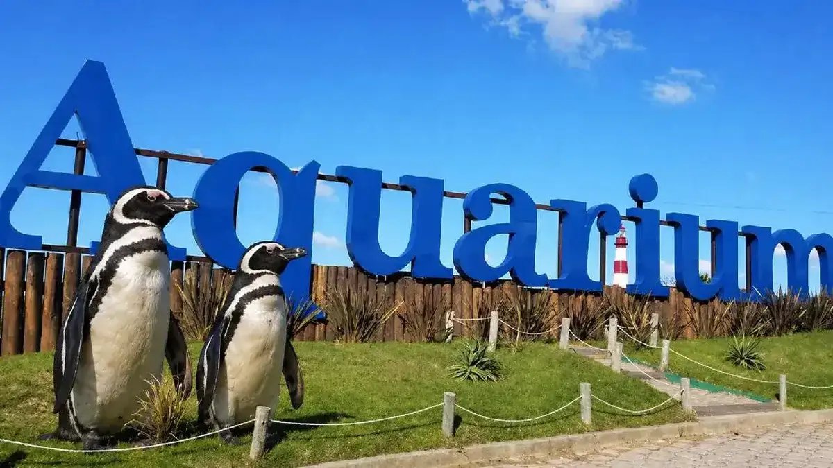 El predio donde funcionaba Aquarium será devuelto a sus propietarios el próximo 2 de noviembre.