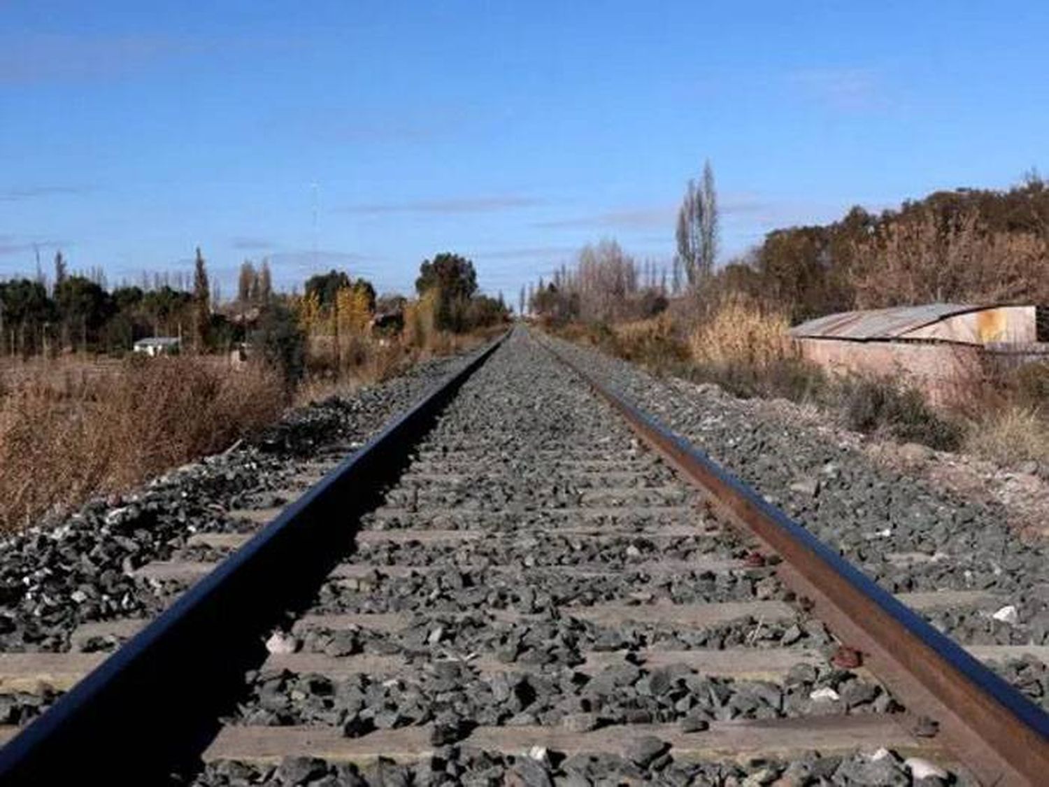 Salió a bailar y  despertó sin piernas en las vías del tren