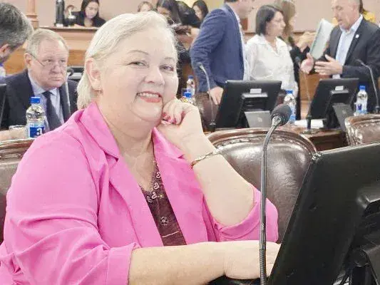 Le piden a la diputada Vilma Vázquez que vote en contra de la reforma previsional