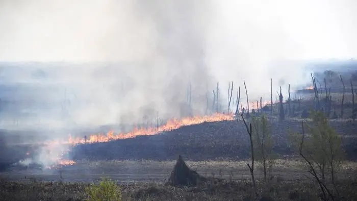 Magallán: �SEl Estado hace poco para prevenir los incendios forestales⬝ 