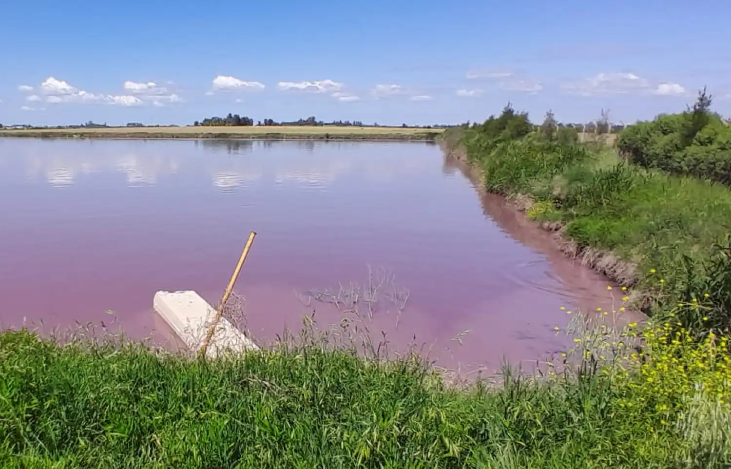 el arroyo Las Conchas, afectado por vertidos de efluentes