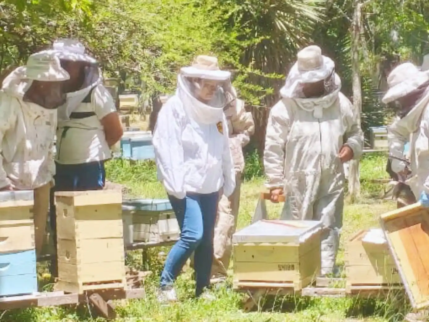 Jóvenes y adultos de la provincia se capacitan en apicultura