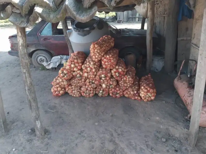 Salieron más de 10.000 kilos de cebollas de la zona Pirané Sur