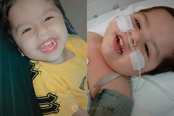 lohan ambra cecilia lucha niño rafaelino - 3