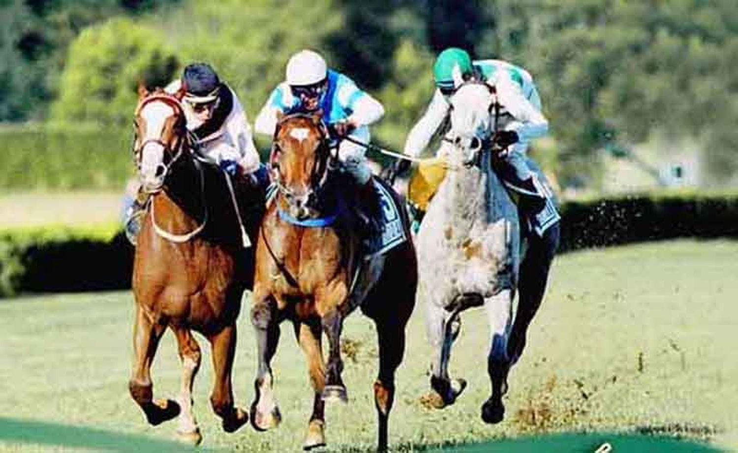 Domingo 26: Actividad Hipódromo de San Isidro