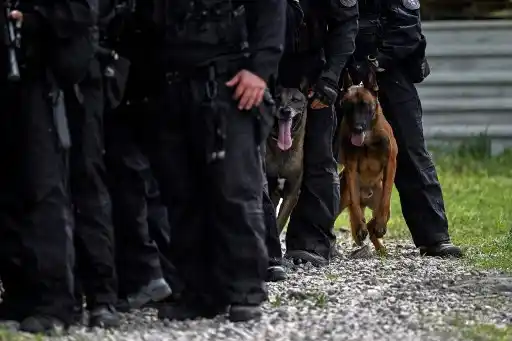 Detienen a ALTOS MILITARES por un supuesto plan de magnicidio contra Lula en 2022