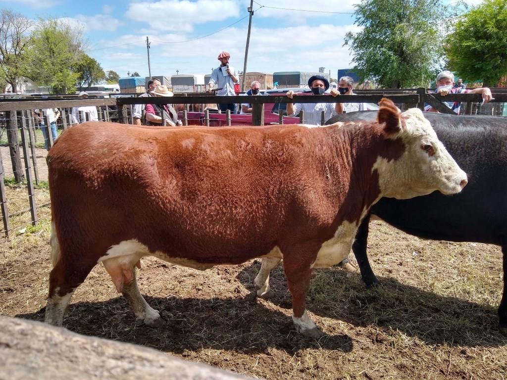 Se viene el primer viernes del mes: los Arzoz van a la feria