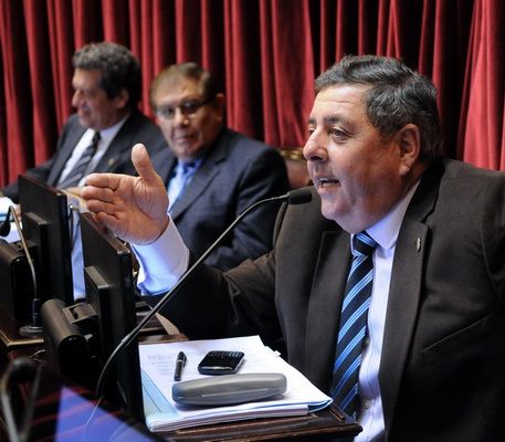 De Ángeli: “Es un parche carísimo que vamos a pagar todos los argentinos”