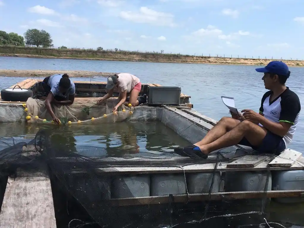 pesca
