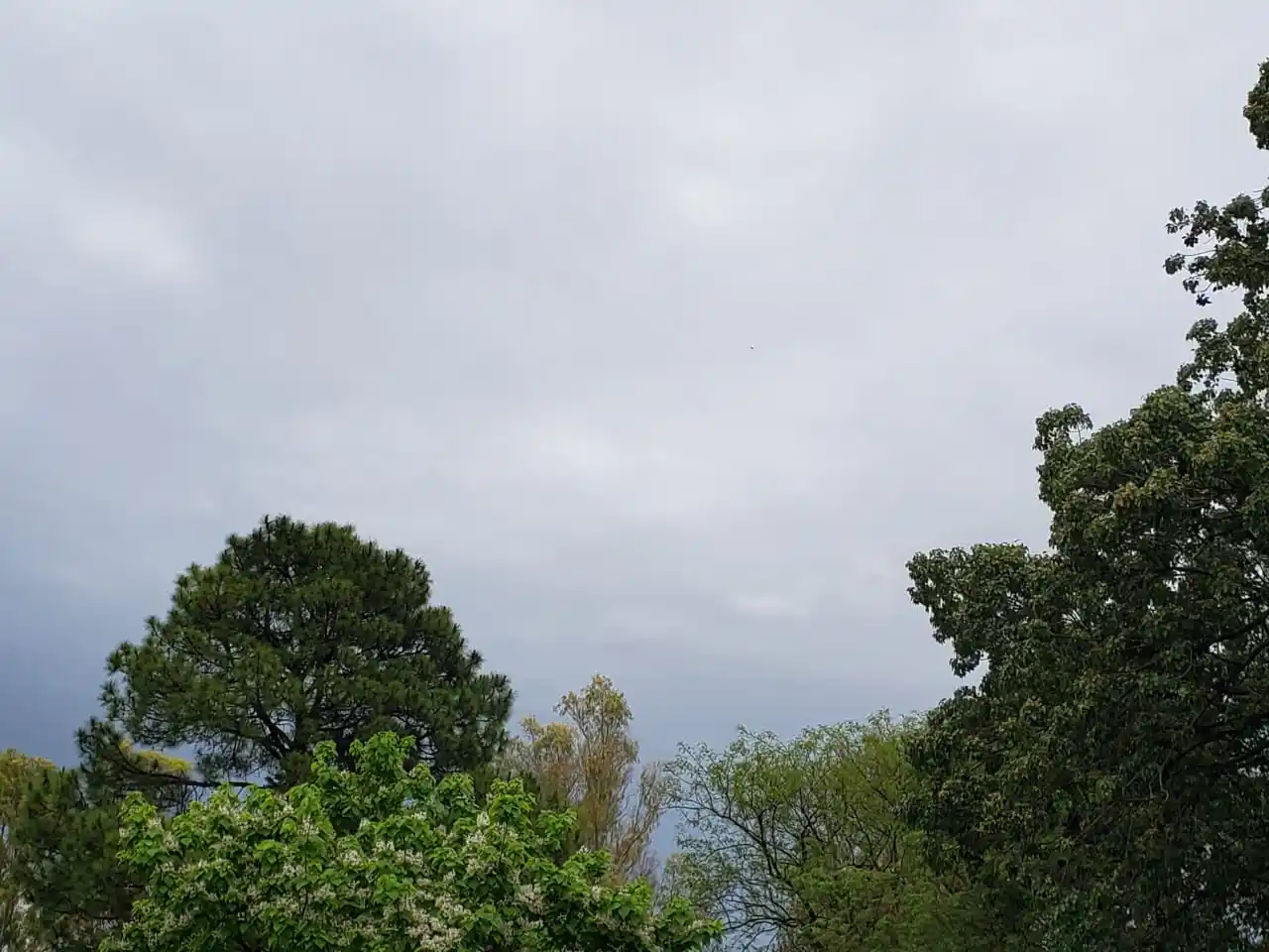 Alertan sobre posibles lluvias intensas en una zona de Entre Ríos