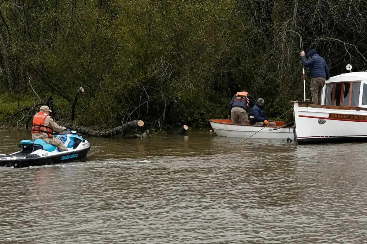 Retiraron un sauce derribado por el viento en el río Gualeguaychú