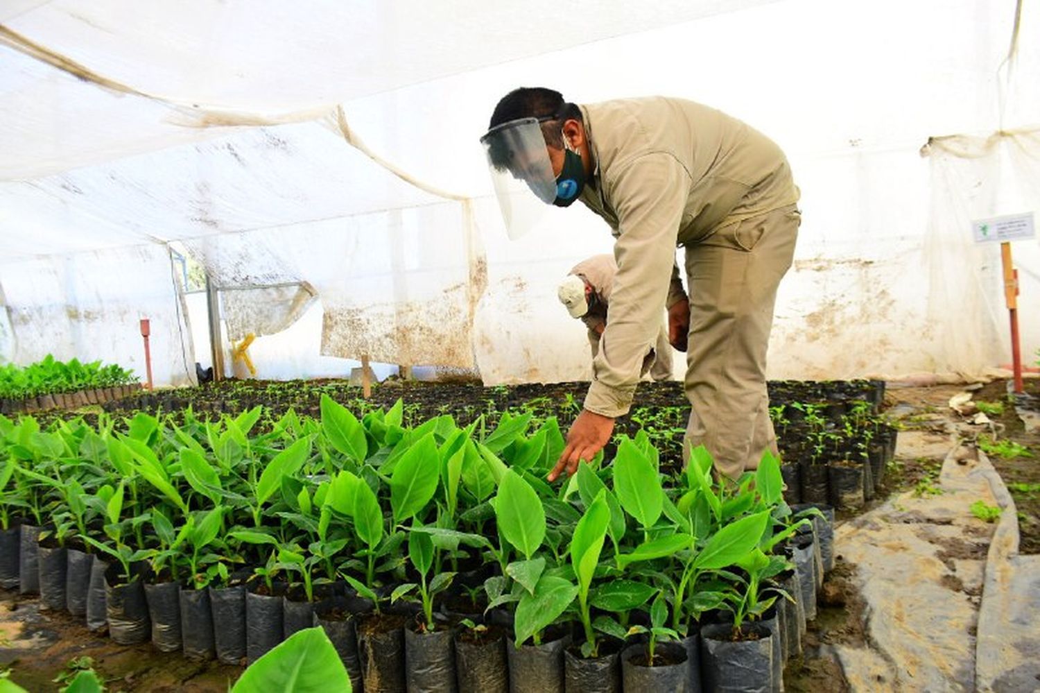 Satisfacción por el crecimiento de la feria agropecuaria piranense