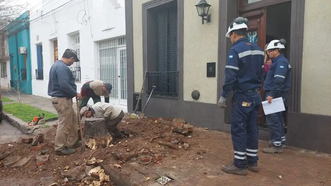 Sacaban un árbol de la vereda y provocaron una pérdida de gas