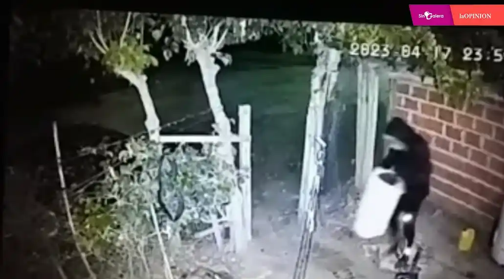 Robo en Río Tala: tras la difusión del video, allanaron y recuperaron el secarropas