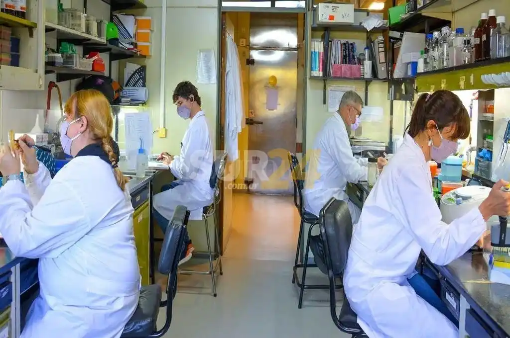 La vacuna argentina contra el Covid genera inmunidad sólida frente a todas las variantes