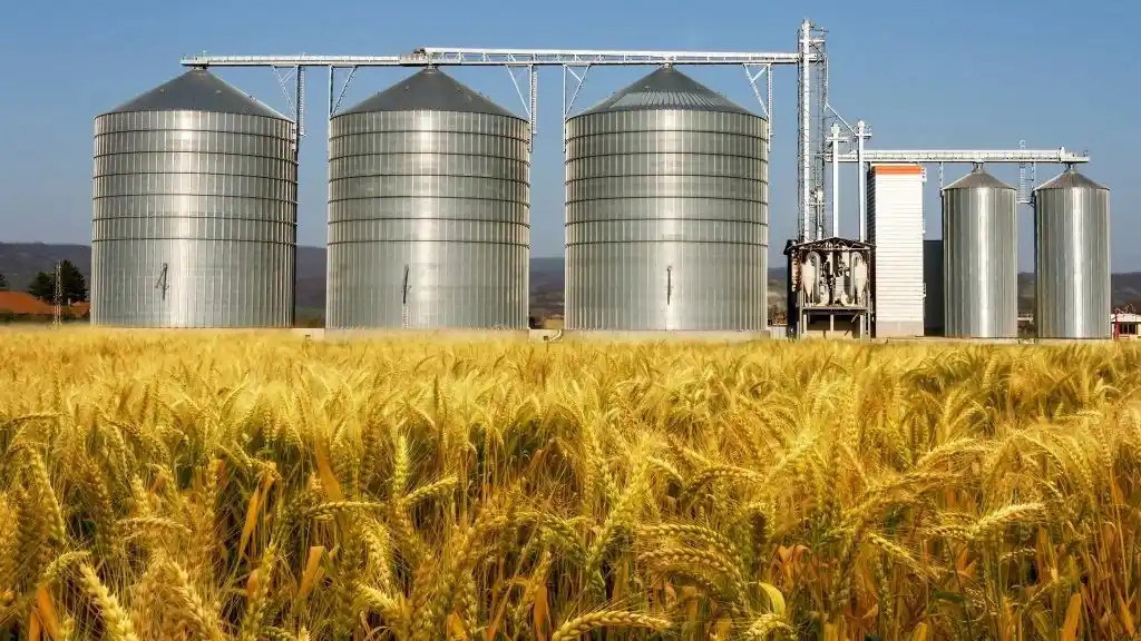 Con mejores lluvias, el campo proyecta la mayor cosecha de granos de la historia