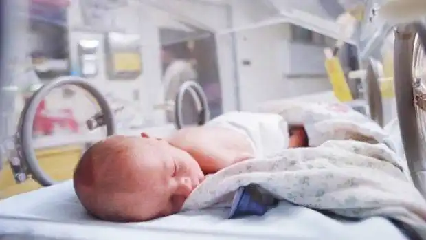 Los embriones del futuro en China: úteros sintéticos supervisados con inteligencia artificial