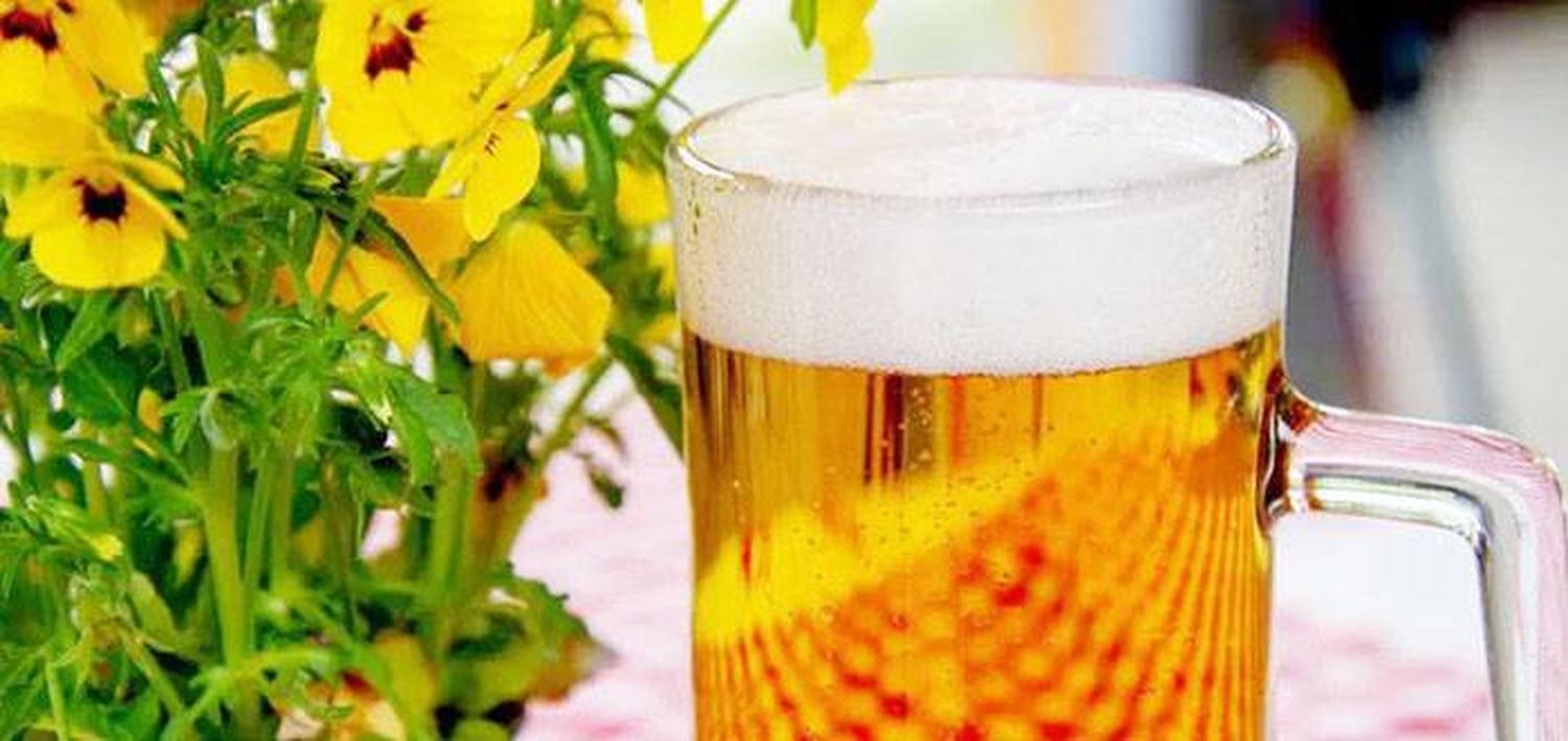 La cerveza se utiliza para generar energía verde