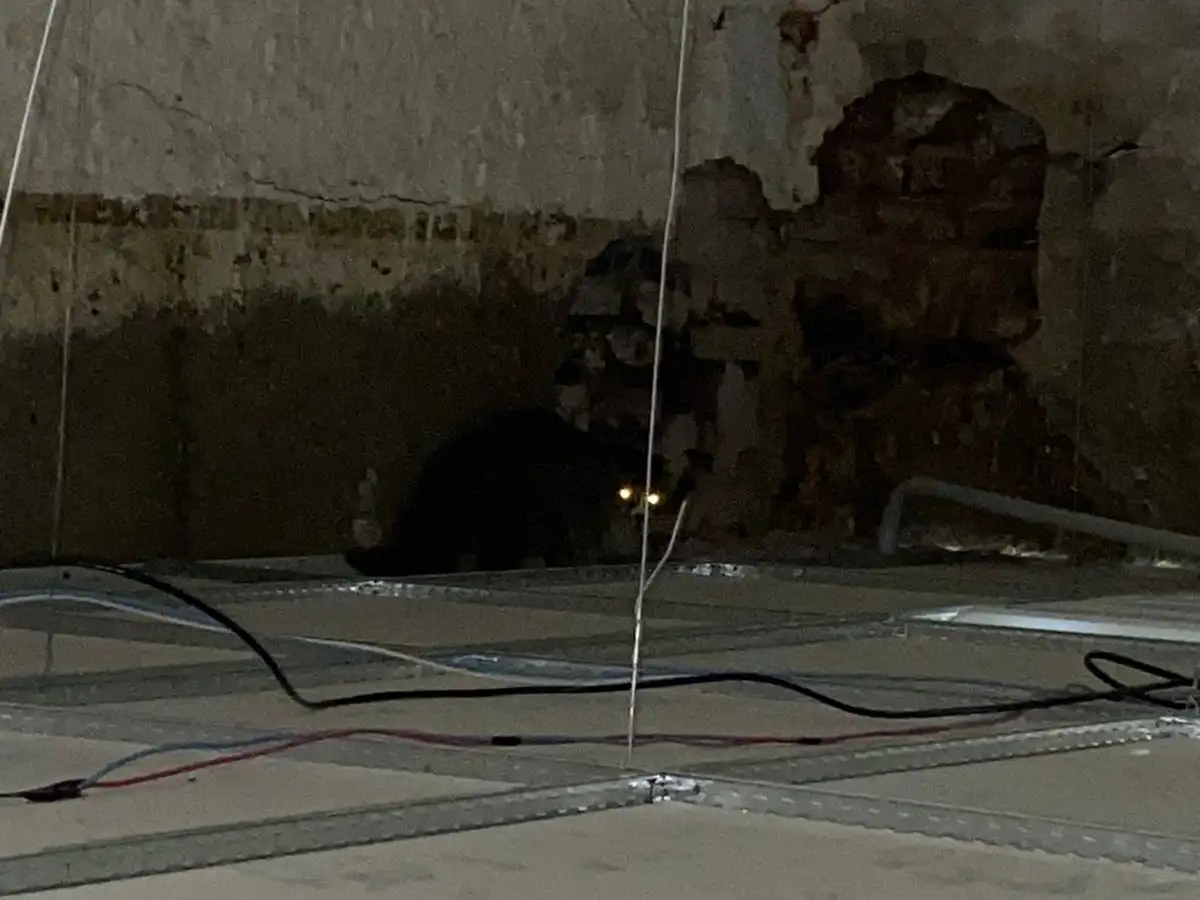 El felino pudo ser rescatado en buen estado.
