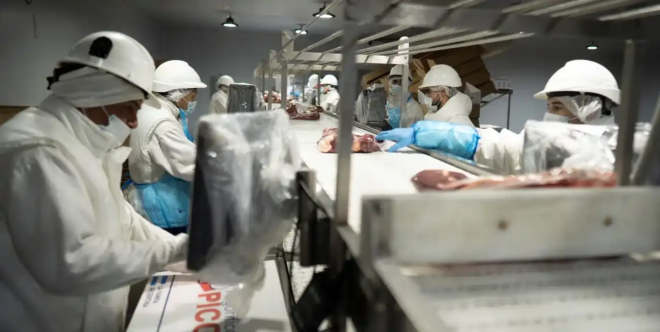 Las exportaciones de carne aportaron US$ 347,3 millones en 9 meses.