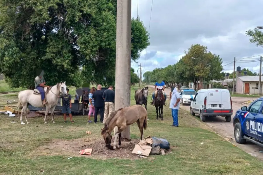 Continúa con controles y secuestro de caballos en la vía pública por parte de la Municipalidad
