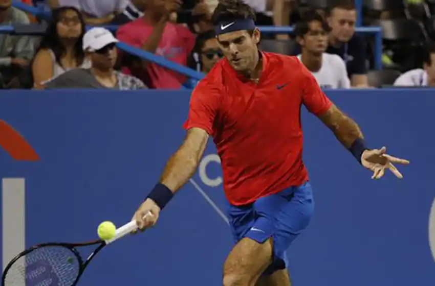 Delpo: del enorme 2016 a un 2017 de frustraciones