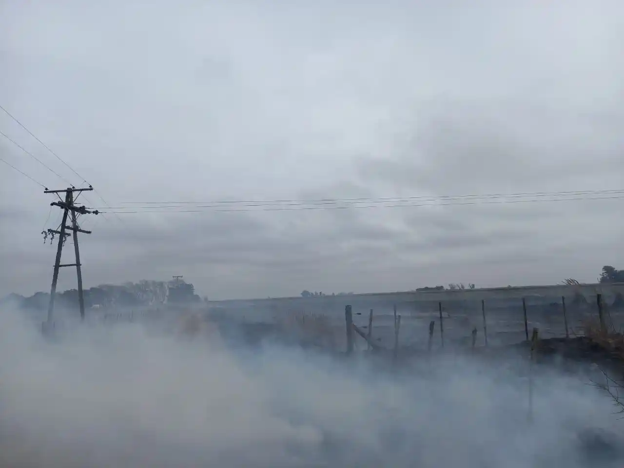 Importante incendio en un campo a la vera de la ruta 33
