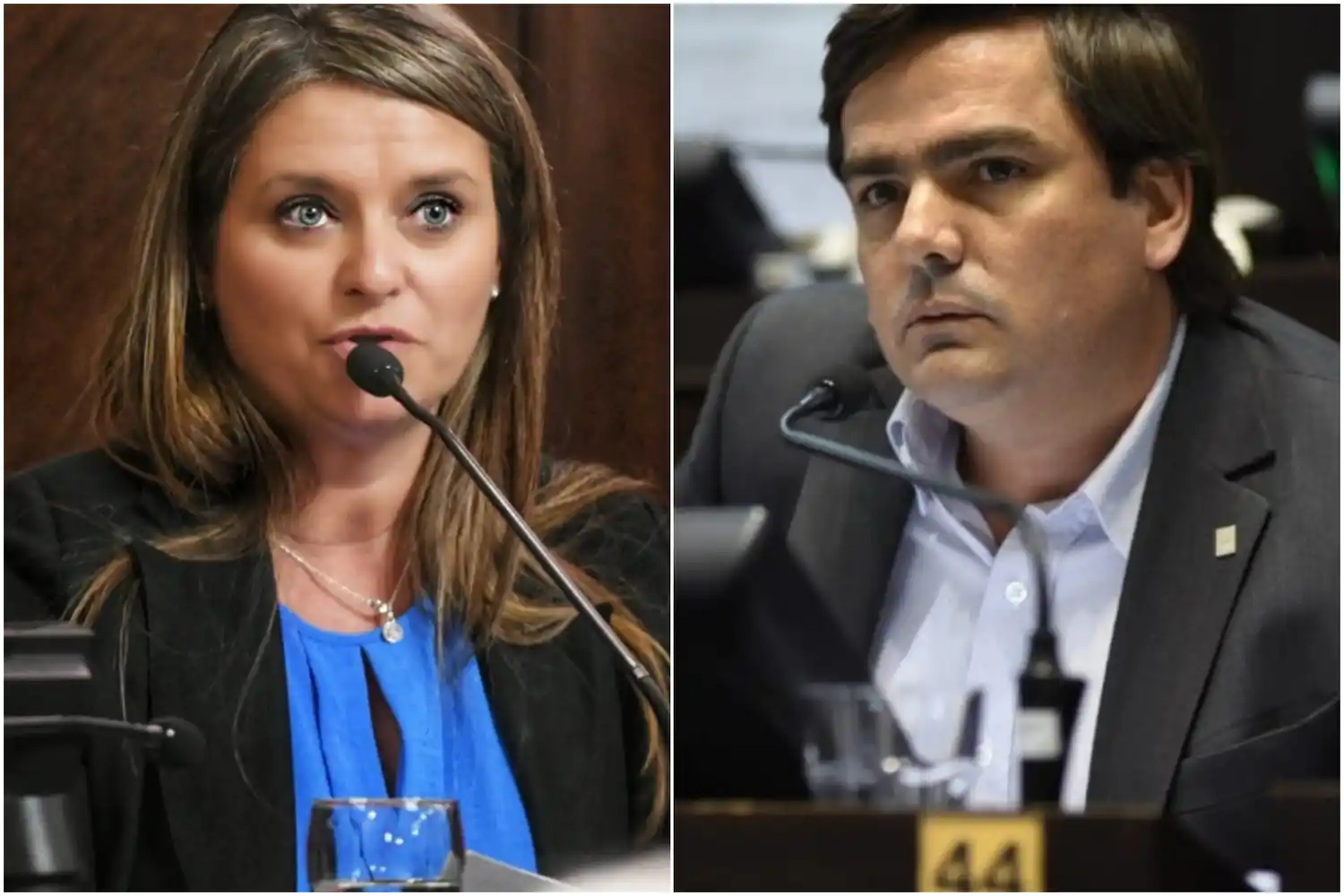 Neumann y Balbín presentaron declaraciones parlamentarias en la Legislatura.