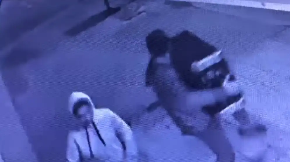 Robaron, quedaron registrados en las cámaras y ahora el damnificado ofrece recompensa